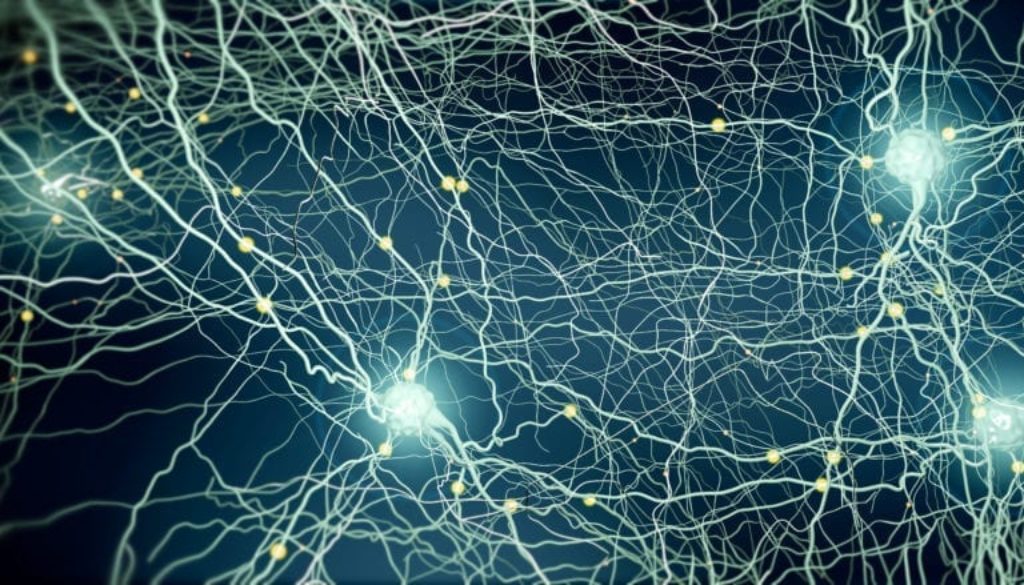 Signal transmitting neuron or nerve cell- 3d illustration